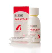 Wormer